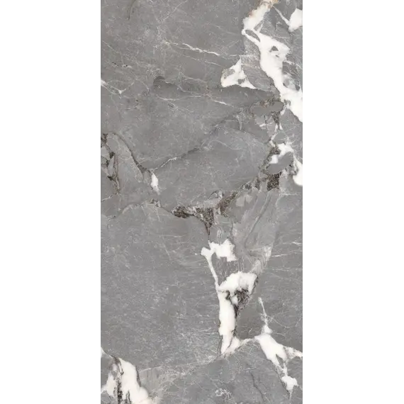 Керамогранит Pegasus_PGT Сер. 60x120