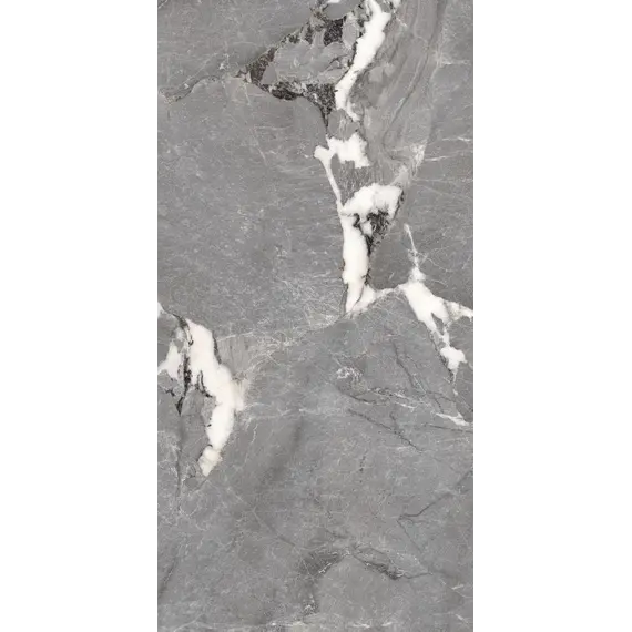 Керамогранит Pegasus_PGT Сер. 60x120