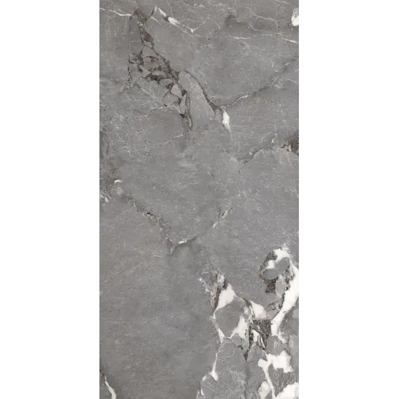 Керамогранит Pegasus_PGT Сер. 60x120