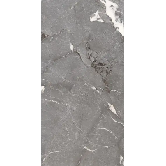 Керамогранит Pegasus_PGT Сер. 60x120