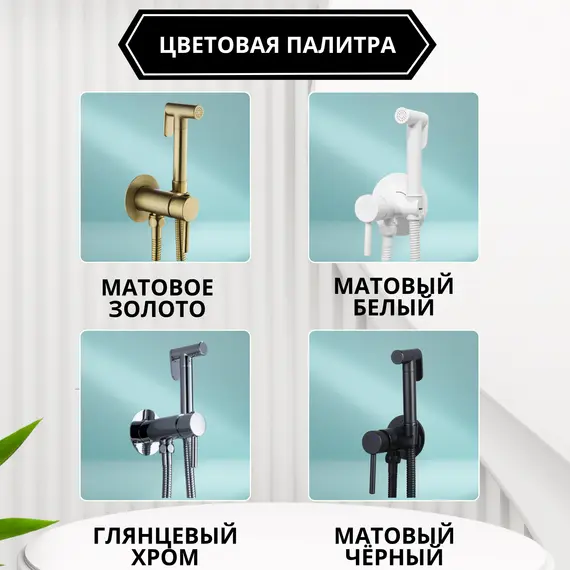 Душ гигиенический ACWEN 82003GG графит