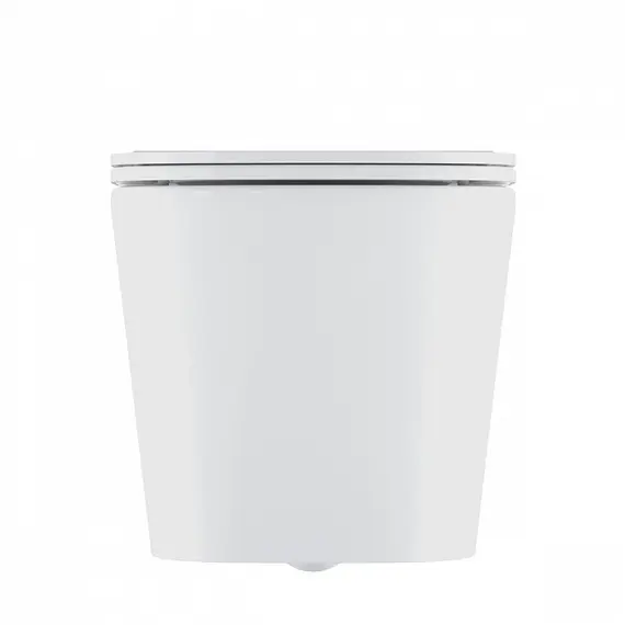 Унитаз подвесной IDDIS  BILRDSEi25