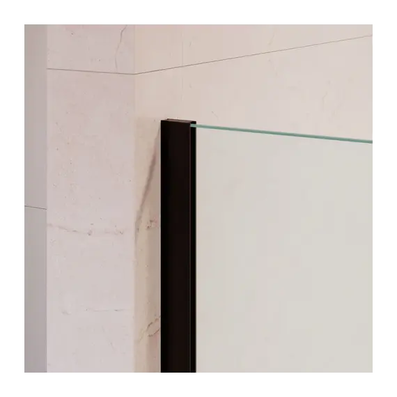 Душевая перегородка RGW WA-210B матовое стекло