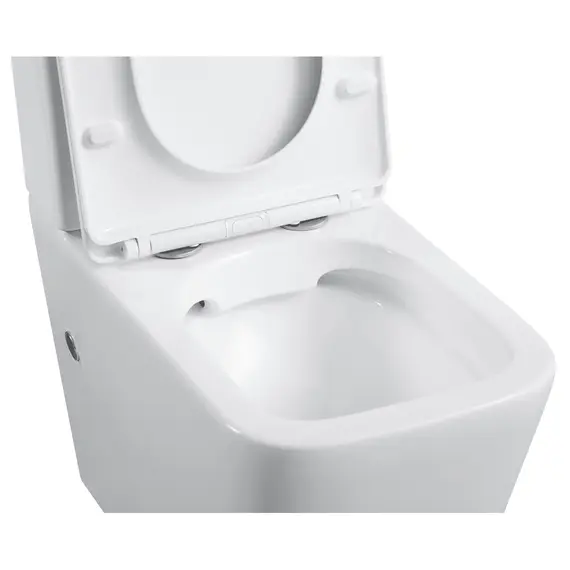 Унитаз керамический Black&White W-7703