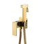 Душ гигиенический  ACWEN 82216G золото