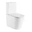 WW SALZBACH 001 GL-WT Унитаз компакт белый глянец