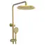 Душевая стойка AVS Slimmer брашированное золото