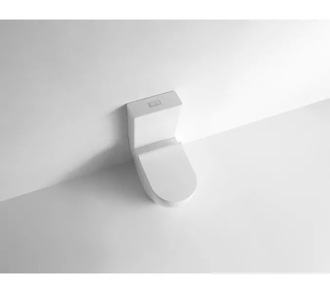 Унитаз напольный CeramaLux 2176, Выбрать цвет: Белый, изображение 2