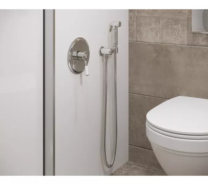 Смеситель встроенный с гигиеническим душем Timo Arisa 5309/00SM, Выбрать цвет: Хром, изображение 2