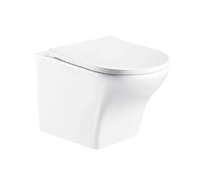 Унитаз подвесной WeltWasser ODENBACH 004 белый глянец / белый матовый, Выбрать цвет: Белый глянец