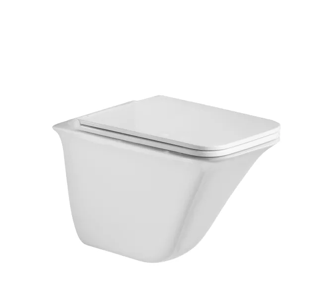 Унитаз подвесной WeltWasser ROTBACH 004 белый глянец / белый матовый, Выбрать цвет: Белый глянец