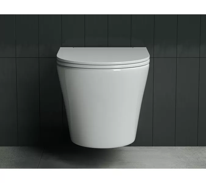 Подвесной унитаз CERAMICANOVA  Forma Rimless, изображение 2