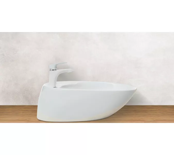 Раковина накладная WeltWasser SK ELBACH 1037, изображение 2