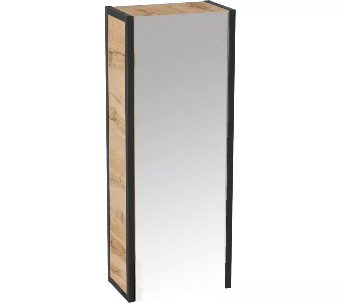 Пенал зеркальный 1Marka GRUNGE LOFT 35П 1д, Внешний вид: с зеркалом