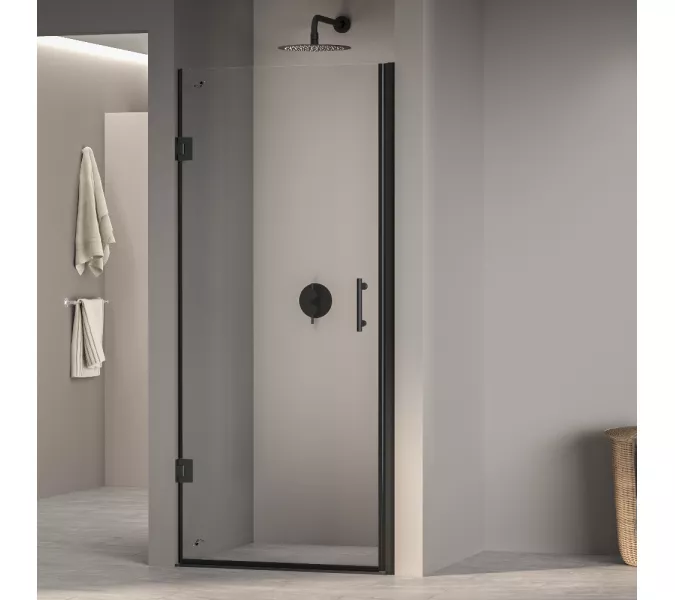 Душевая дверь RGW PA-06B, Цвет стекла: шиншила, Цвет профиля (вариация): Черный, Выбрать размер: 60