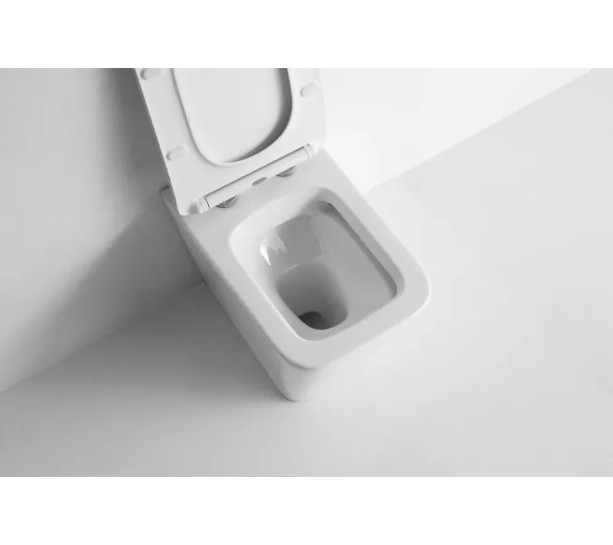 Унитаз приставной CeramaLux 3170, изображение 2