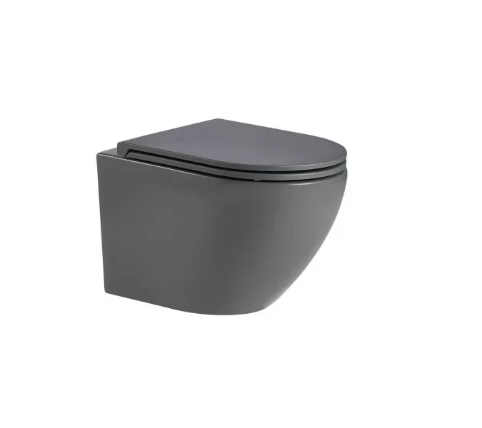 WW MERZBACH 041 MT-GR Унитаз подвесной серый матовый, Выбрать цвет: Серый матовый
