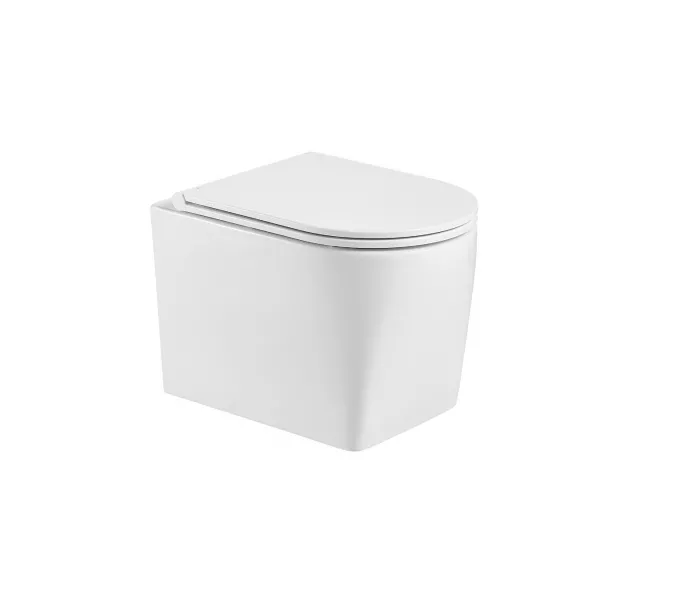 Унитаз подвесной WW NESENBACH 004 GL-WT, изображение 2