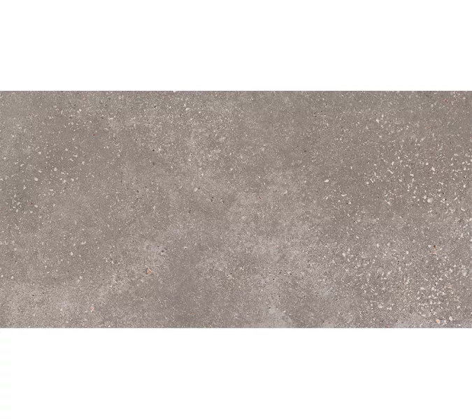 Керамогранит Coral Rock_GT Темно-серый 30x60, Выбрать цвет: Темно-серый, изображение 9