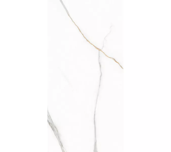 Керамогранит Angel Statuario_GT Белый 60x120 полир, изображение 9