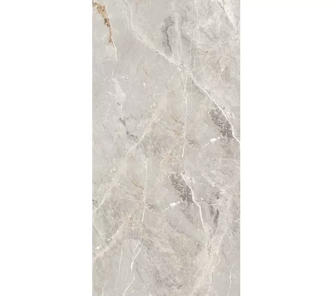 Керамогранит Tulip_GT Серый  полир., Выбрать цвет: Серый, Выбрать размер: 60х120