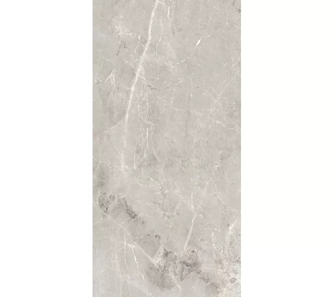 Керамогранит Tulip_GT Серый  полир., Выбрать цвет: Серый, Выбрать размер: 60х120, изображение 4