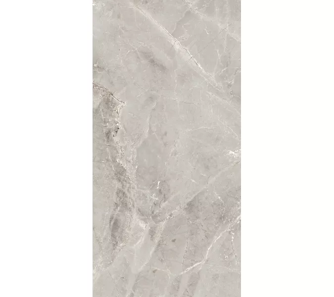 Керамогранит Tulip_GT Серый  полир., Выбрать цвет: Серый, Выбрать размер: 60х120, изображение 5