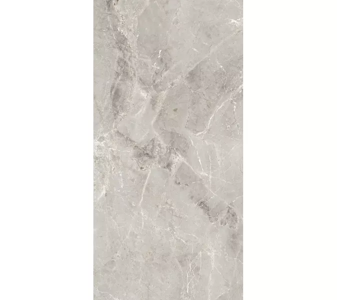 Керамогранит Tulip_GT Серый  полир., Выбрать цвет: Серый, Выбрать размер: 60х120, изображение 7