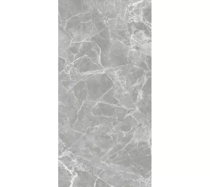 Керамогранит Solo_GT Серый полир., Выбрать цвет: Серый, Выбрать размер: 60х120, изображение 3