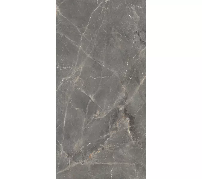 Керамогранит Tulip_GT Темно-серый  полир., Выбрать цвет: Темно-серый, Выбрать размер: 60х120, изображение 3