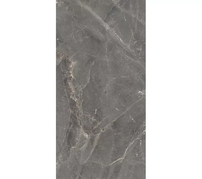 Керамогранит Tulip_GT Темно-серый  полир., Выбрать цвет: Темно-серый, Выбрать размер: 60х120, изображение 4
