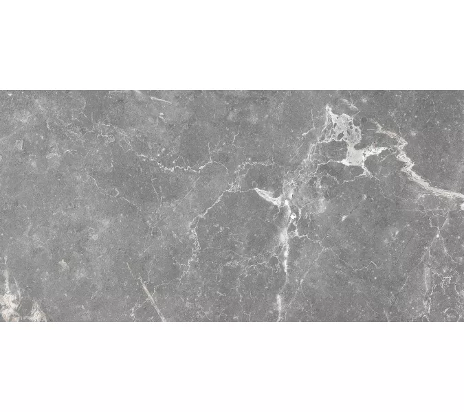 Плитка облиц. Capella GT Серый  50*25, Выбрать цвет: Серый, изображение 4