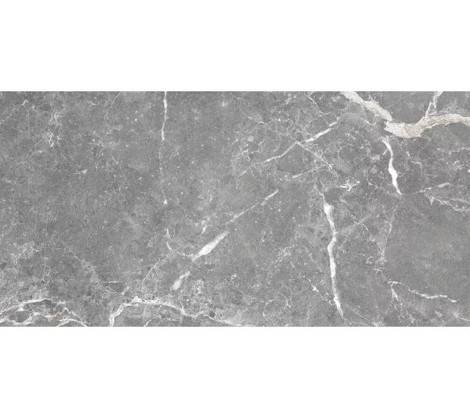 Плитка облиц. Capella GT Серый  50*25, Выбрать цвет: Серый, изображение 5