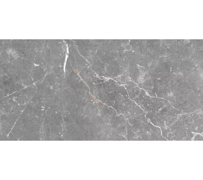 Плитка облиц. Capella GT Серый  50*25, Выбрать цвет: Серый, изображение 6