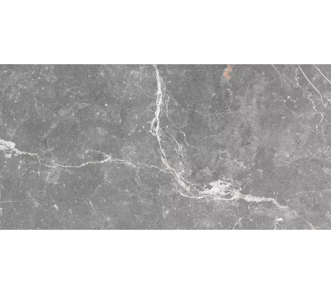 Плитка облиц. Capella GT Серый  50*25, Выбрать цвет: Серый, изображение 8