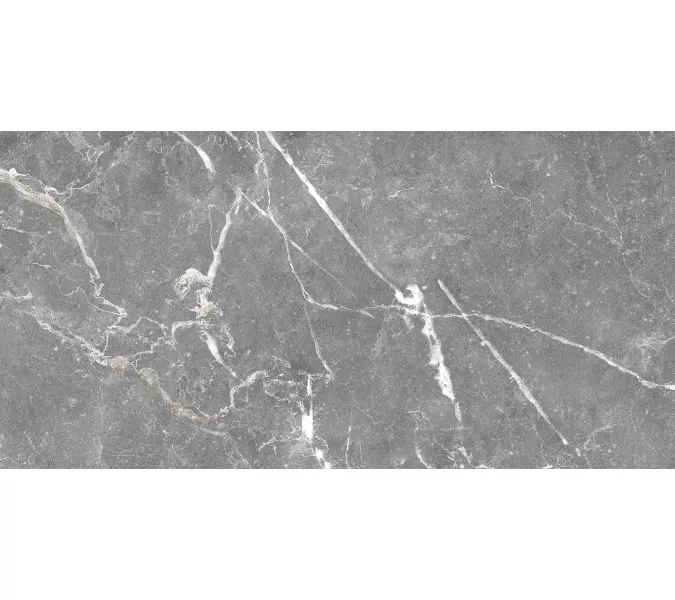 Плитка облиц. Capella GT Серый  50*25, Выбрать цвет: Серый, изображение 9