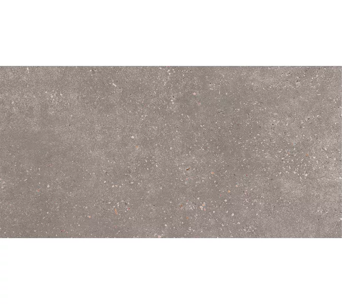 Керамогранит Coral Rock_GT Темно-серый 30x60, Выбрать цвет: Темно-серый, изображение 2