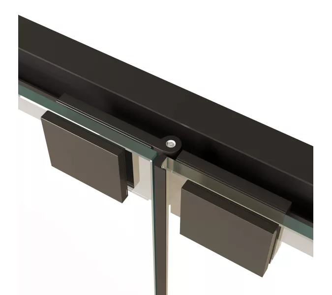 Душевая дверь RGW PA-21B, Цвет профиля (вариация): Черный, Выбрать размер: 90, изображение 6