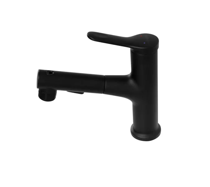 Смеситель для раковины с выдвижным изливом BelBagno BB-LVMD-NERO-W0, изображение 3