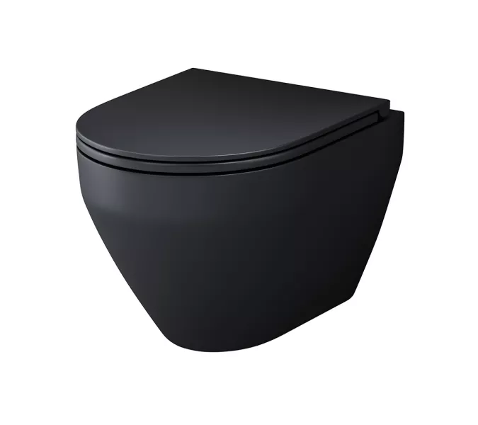 AM.PM Spirit V2.0 набор подвесной унитаз с гиг.душем, черный, изображение 6
