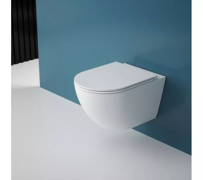 Унитаз подвесной FORTEX-53T, изображение 2