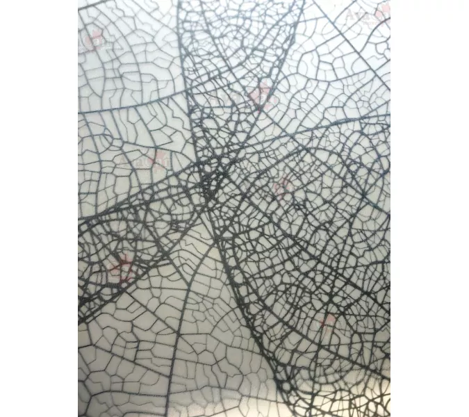 Душевой уголок AvaCan PB 90/100 MT, Цвет стекла: матовое с рисунком, Цвет профиля: Черный, Выбрать размер: 90х90, изображение 3