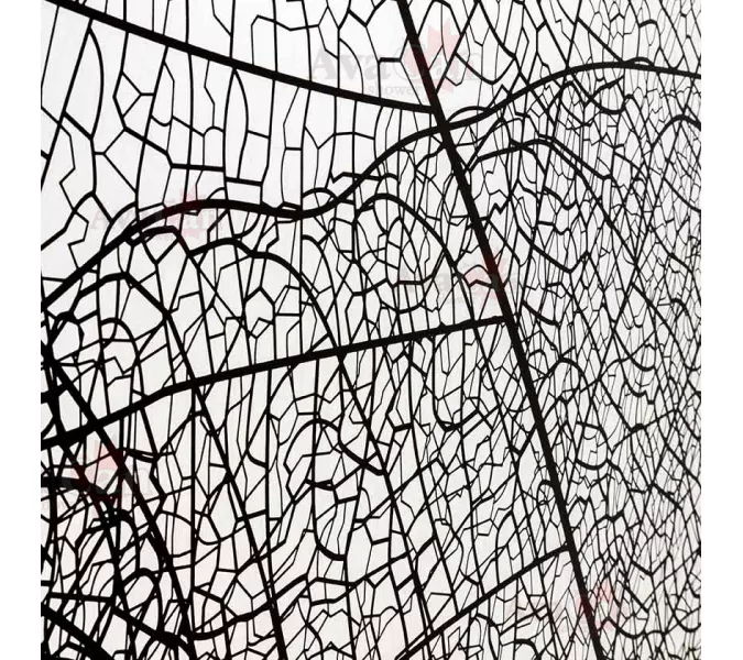 Душевая перегородка AvaCan MB100/110/120, Цвет стекла: с рисунком, Цвет профиля: Черный, Выбрать размер: 120, изображение 16