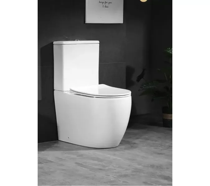 Унитаз Ceruttispa ORLTER CT9867  напольный безободковый белый, Выбрать цвет: Белый