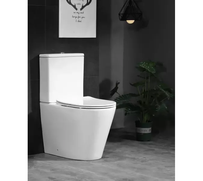 Унитаз Ceruttispa  SELLA GW CT9864 напольный безободковый белый, Выбрать цвет: Белый