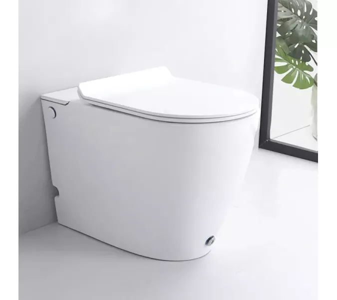 Унитаз  Cerutti SPA CT7264 BARBARIA Pulse приставной с функцией импульсного смыва