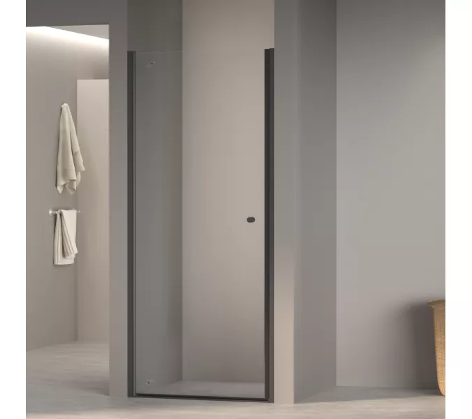 Душевая дверь RGW Dolphin TN-03B, Цвет стекла: прозрачное, Цвет профиля: Черный, Выбрать размер: 80