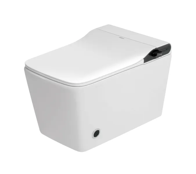Электронный унитаз-биде ABBER Rechteck AC1215S подвесной белый, изображение 12