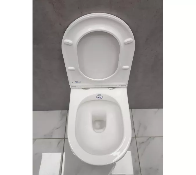 Унитаз подвесной WW NESENBACH 004 GL-WT, изображение 8