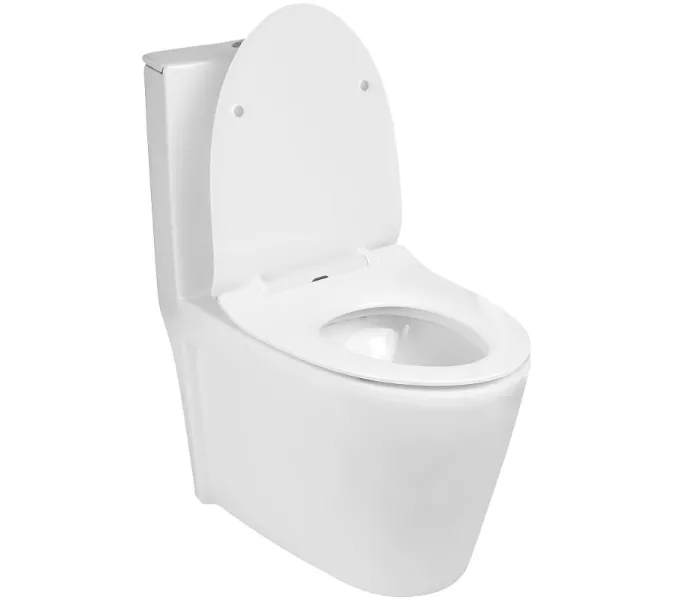 Унитаз компакт WeltWasser WELZBACH 001 GL-WT белый глянец, изображение 2